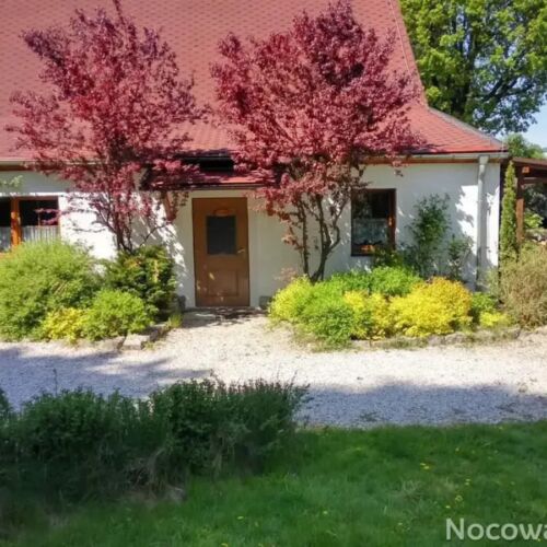 Forest View Ground Floor Holiday Home for 6 Persons