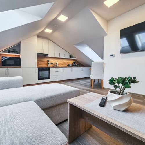 Mansard 2-Room Apartment for 4 Persons air Conditioned