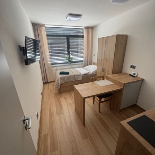 Premier 1-Room Apartment for 1 Person
