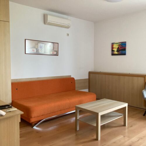 Panoramic Silver 1-Room Apartment for 3 Persons