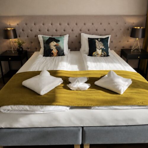Standard Erdgeschosses Doppelzimmer (Zusatzbett möglich)