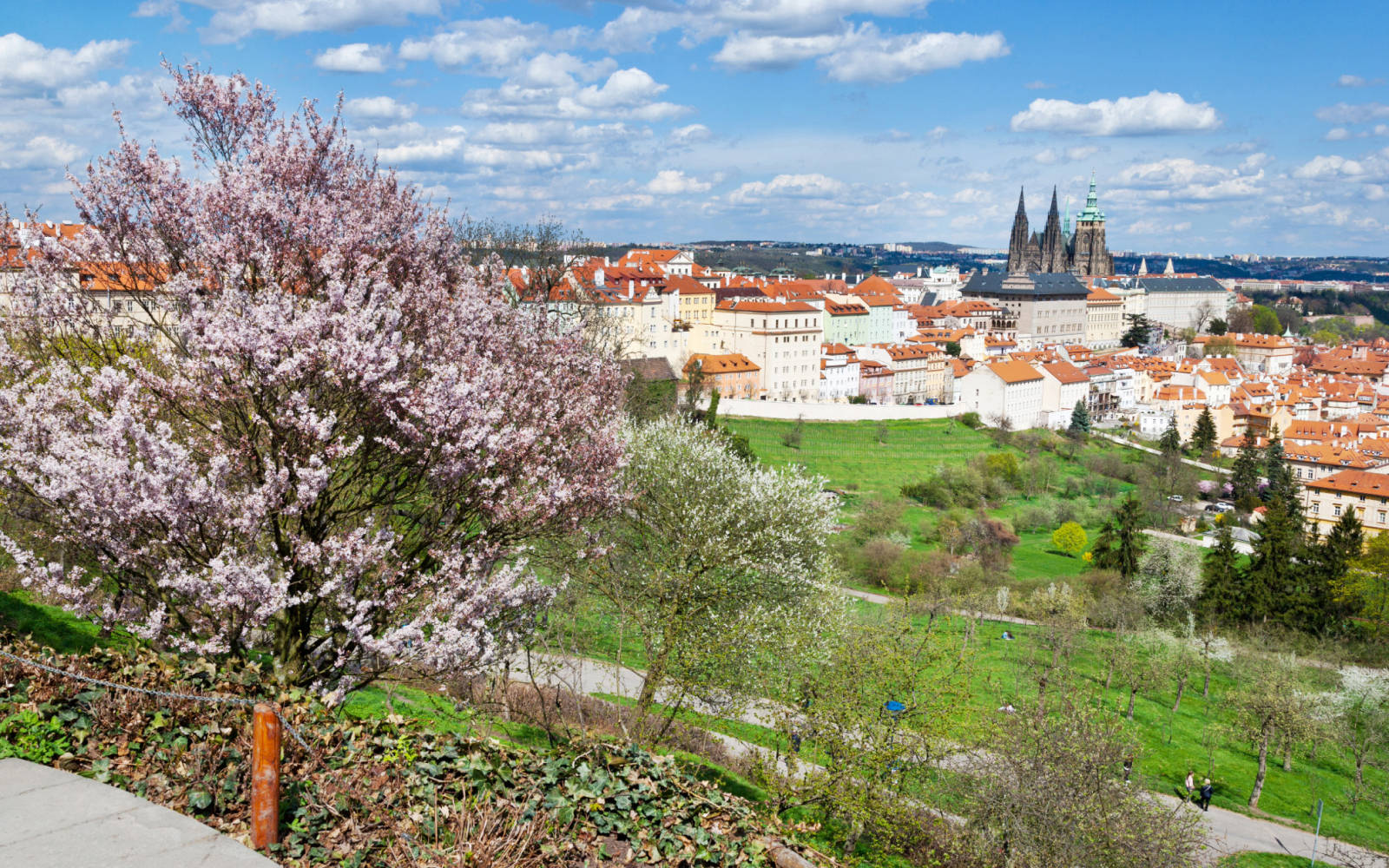 Objevte kouzlo jara v nejkrásnějších destinacích ČESKA!