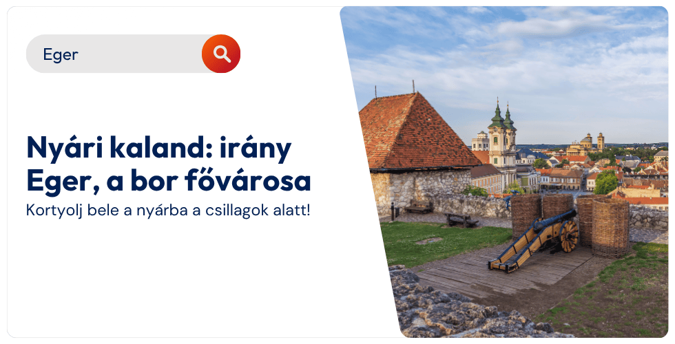 campaign-banner