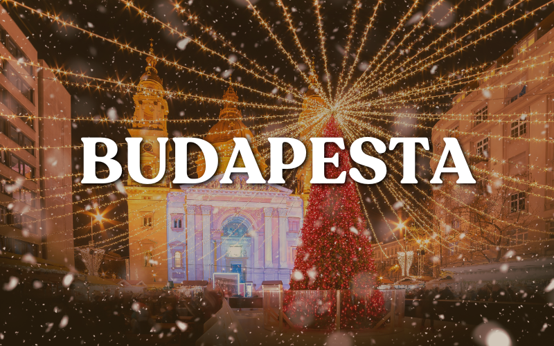 T&acirc;rgul de Crăciun Budapesta &raquo;