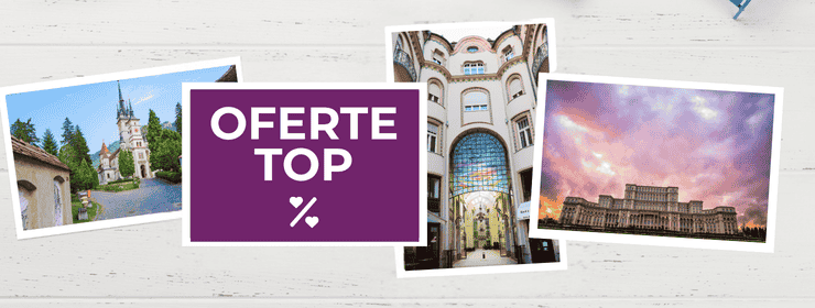Oferte TOP